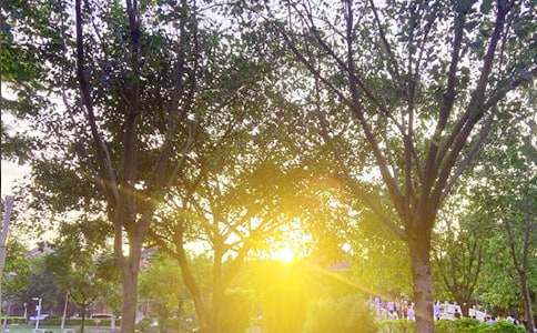 Ψ���簲���Z�R��195��