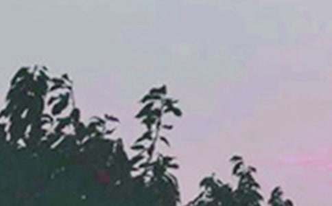 �����簲���Z��ͨ��195�䣩