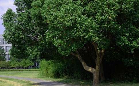 ��Ҋ(ji��n)�簲���Z(y��)155��