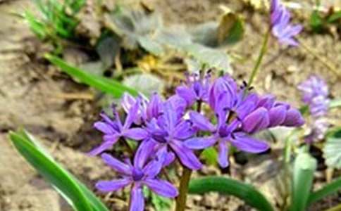 簡(jiǎn)短正能量早安寄語(yǔ)35句精選