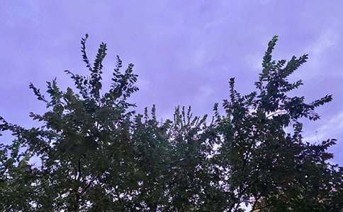 常用早安寄語(yǔ)大全(精選125句)