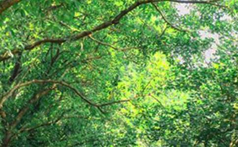 有關治愈早安寄語大全185句精選