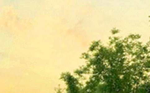 簡短治愈早安寄語130句