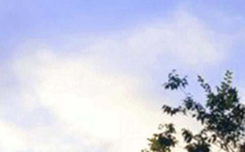 ���̄�־�簲���Z185�侫�x