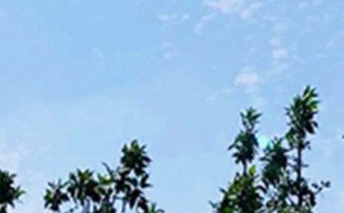 ��(ji��n)�������簲���Z(y��)��ȫ��ͨ��60�䣩