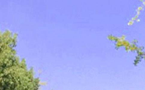 �����A���°��簲�����Z�Z�24�l