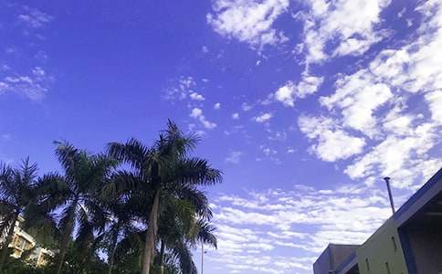 ���]��־�簲���Z��ȫ�����x195�䣩