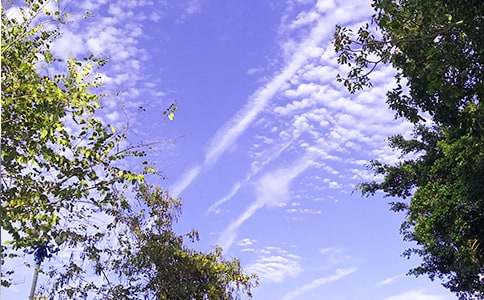 ��(ji��n)������Ȧ�簲���Z(y��)��ȫ120��