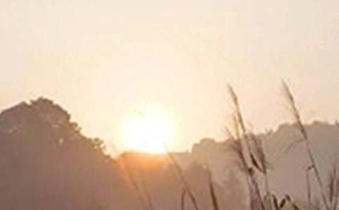 ����Ψ���簲���Z(y��)��ȫ55�侫�x