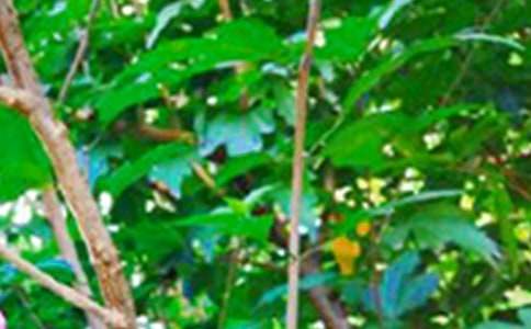 ���P(gu��n)�簲���Z�R��150�侫�x