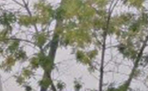 �簲������Z