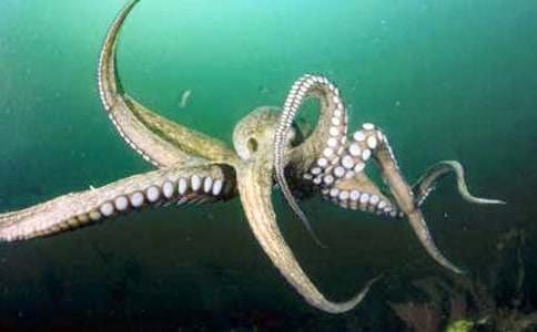 ���~�ҹ�������400��