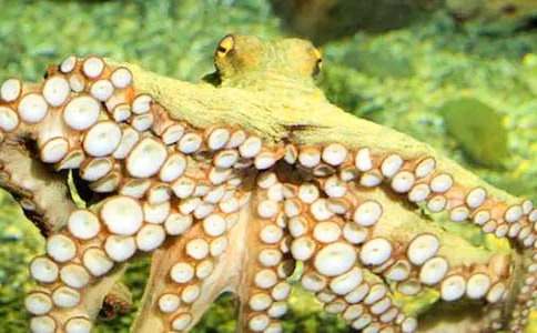 ���~С��������500��