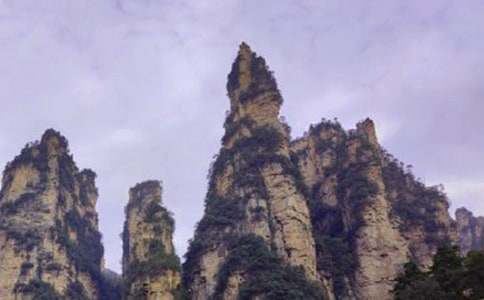 游張家界作文500字