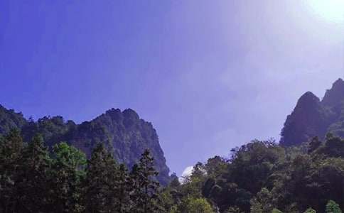 ���ݏ��ҽ����ε��~�Z