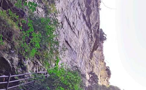 張家界的山情水意_900字