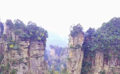 ���ҽ�֮������