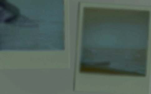 �ְֵİ돈��Ƭ����ģ��