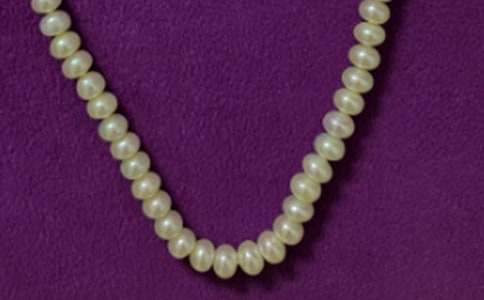 撿拾記憶中的珍珠作文700字(精選13篇)