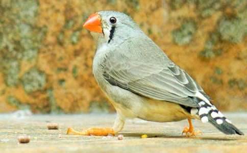 �����B�̌W��˼��ͨ��10ƪ��