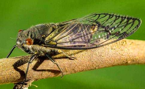 ץ֪�˵�С�W(xu��)����