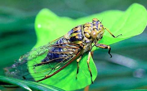 ֪�ˌW(xu��)�w����600����ƪ