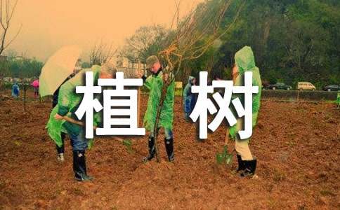 小學(xué)爸爸帶我去植樹作文