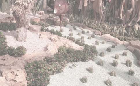 到辰山植物園秋游作文