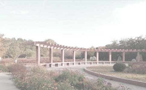 熱帶植物園游記作文400字