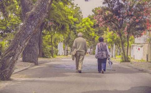 ������ζ����