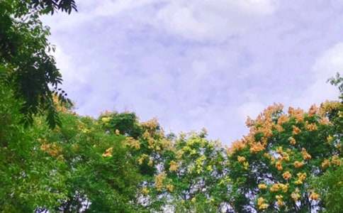 中午的公園作文(通用48篇)