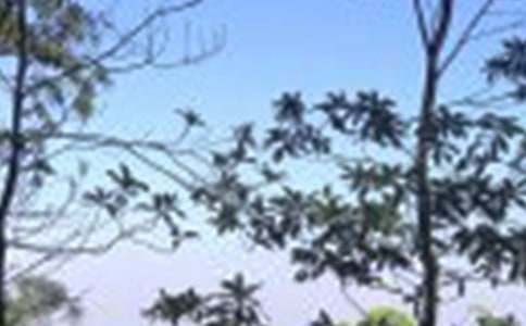 中午的尷尬事400字作文