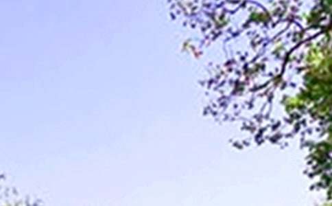 ��������600����ƪ