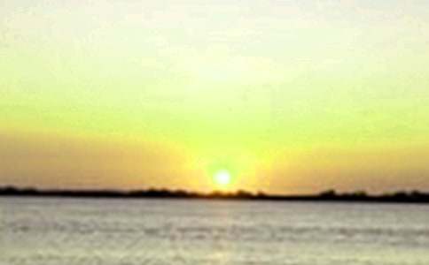 快樂的中午作文(3篇)