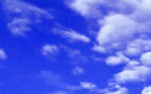 我的中午飯的作文