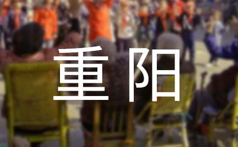 重陽送出一片心意作文