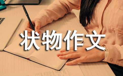 ��֦-������������