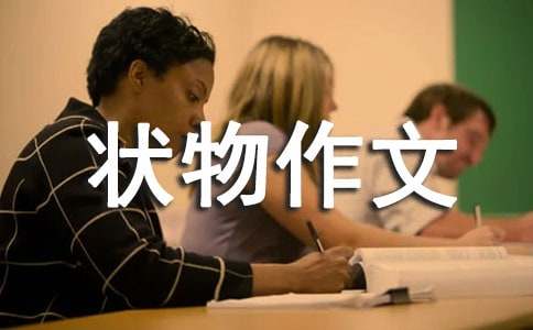 初三狀物作文600字