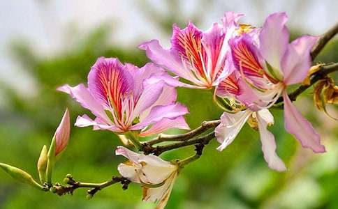 ���������G�����ģ����x46ƪ��