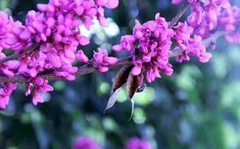 ���G�����ĵ�300�֣����x33ƪ��