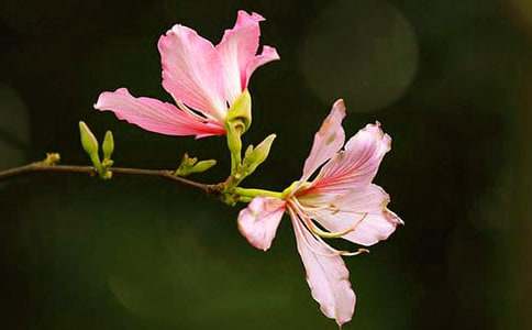 ���G������500�֣�ͨ��40ƪ��