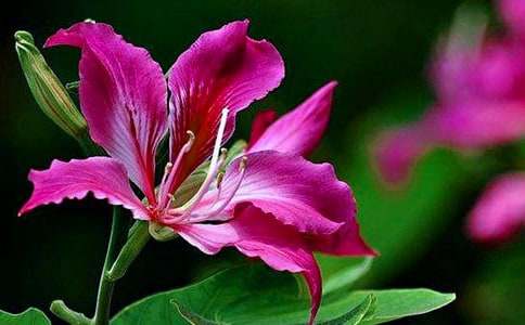 ����ϲ�g�����G������400��