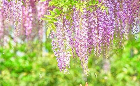 ���ٻ������ҵ�ӛ����̎����