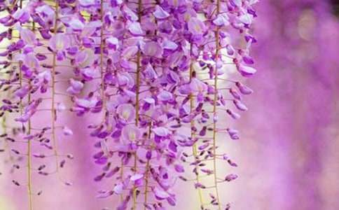 ��(xi��)���ٻ�������600��