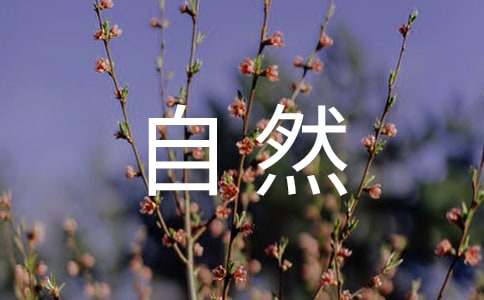 描寫(xiě)大自然的詞語(yǔ)