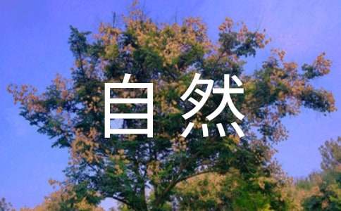 ��ȻҎ(gu��)�t����