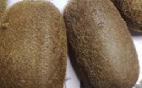 描寫獼猴桃作文450字(精選32篇)