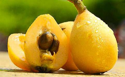 【精品】枇杷樹作文3篇