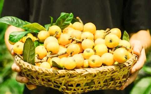 �������̺����˘�����