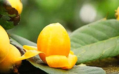 ӛ���е����˘�����